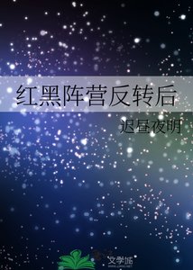 《紅黑陣營反轉後》